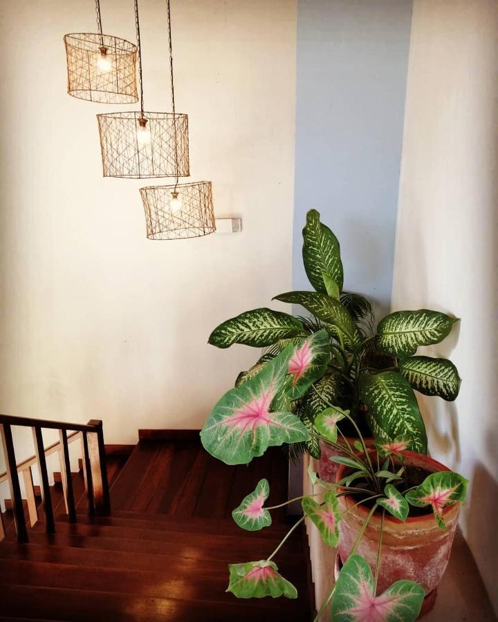 Hotel Con Corazon Granada Eksteriør billede